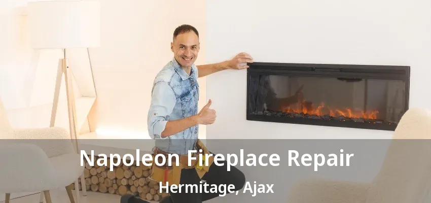 Napoleon Fireplace Repair Hermitage, Ajax - ON