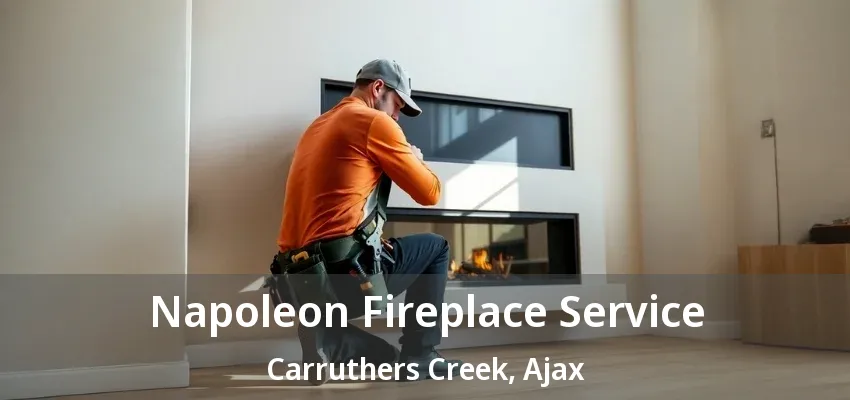 Napoleon Fireplace Service Carruthers Creek, Ajax - ON
