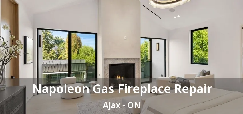 Napoleon Gas Fireplace Repair Ajax - ON Napoleon Gas Fireplace Repair Ajax - ON