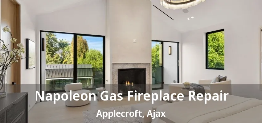 Napoleon Gas Fireplace Repair Applecroft, Ajax - ON