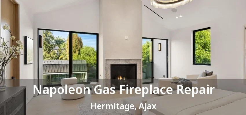 Napoleon Gas Fireplace Repair Hermitage, Ajax - ON Napoleon Gas Fireplace Repair Hermitage, Ajax - ON