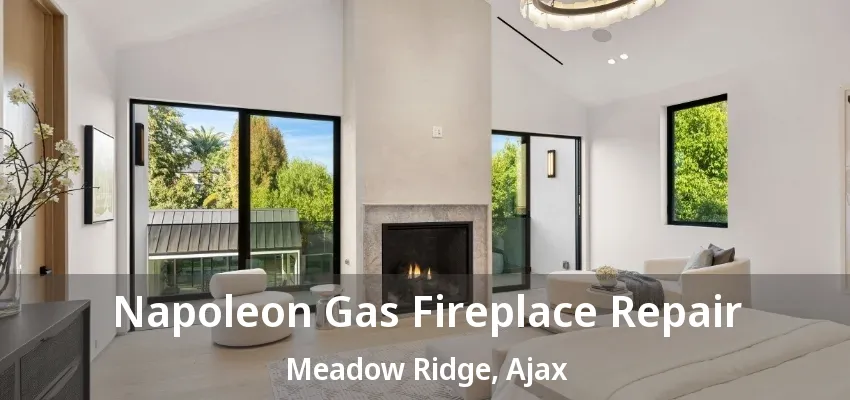 Napoleon Gas Fireplace Repair Meadow Ridge, Ajax - ON