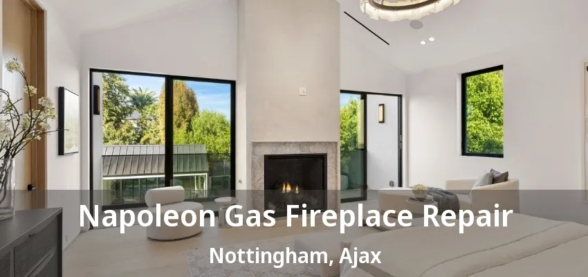 Napoleon Gas Fireplace Repair Nottingham, Ajax - ON Napoleon Gas Fireplace Repair Nottingham, Ajax - ON