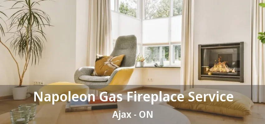 Napoleon Gas Fireplace Service Ajax - ON