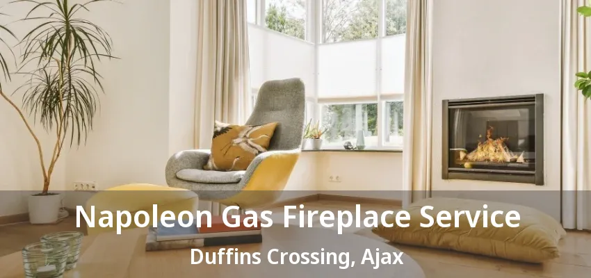 Napoleon Gas Fireplace Service Duffins Crossing, Ajax - ON Napoleon Gas Fireplace Service Duffins Crossing, Ajax - ON