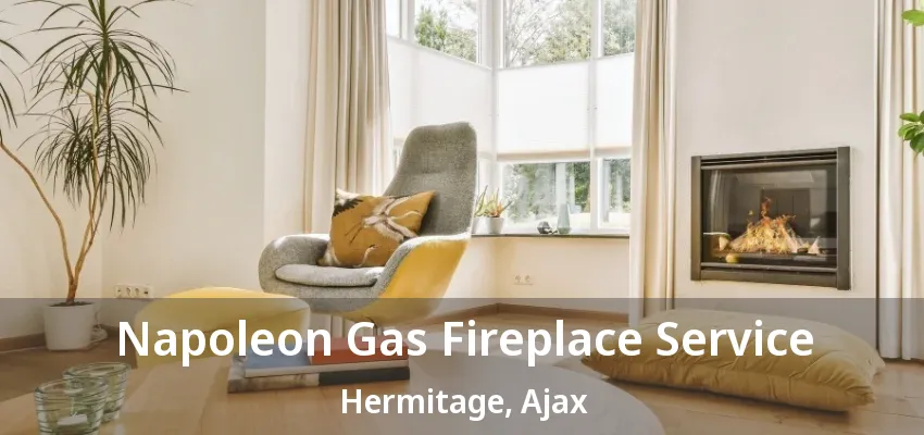 Napoleon Gas Fireplace Service Hermitage, Ajax - ON Napoleon Gas Fireplace Service Hermitage, Ajax - ON