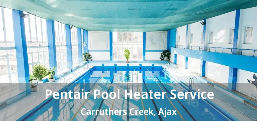 Pentair Pool Heater Service Carruthers Creek, Ajax - ON Pentair Pool Heater Service Carruthers Creek, Ajax - ON