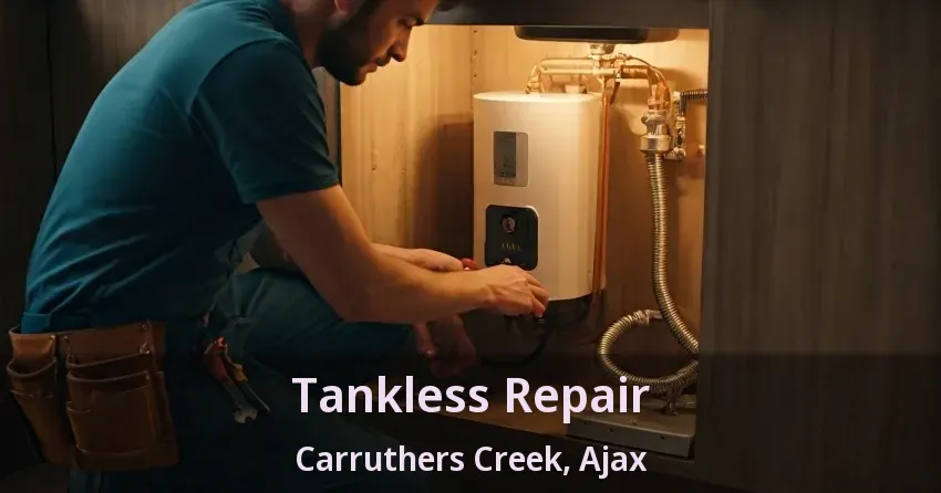 Tankless Repair Carruthers Creek, Ajax - ON Tankless Repair Carruthers Creek, Ajax - ON