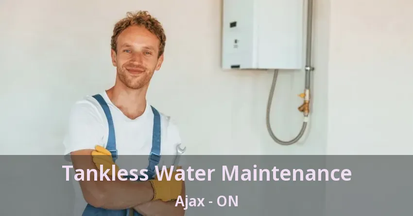 Tankless Water Maintenance Ajax - ON Tankless Water Maintenance Ajax - ON