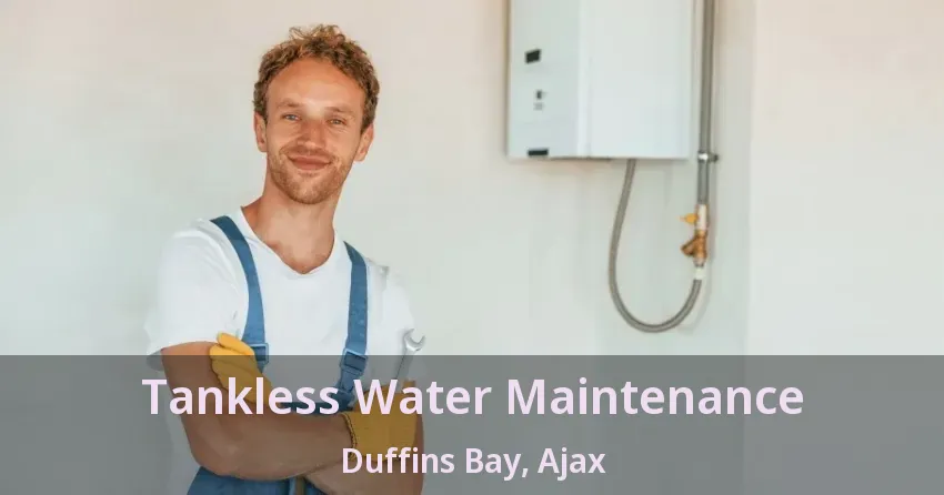 Tankless Water Maintenance Duffins Bay, Ajax - ON Tankless Water Maintenance Duffins Bay, Ajax - ON