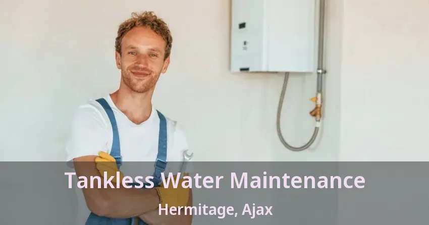 Tankless Water Maintenance Hermitage, Ajax - ON Tankless Water Maintenance Hermitage, Ajax - ON