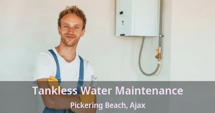 Tankless Water Maintenance Pickering Beach, Ajax - ON Tankless Water Maintenance Pickering Beach, Ajax - ON